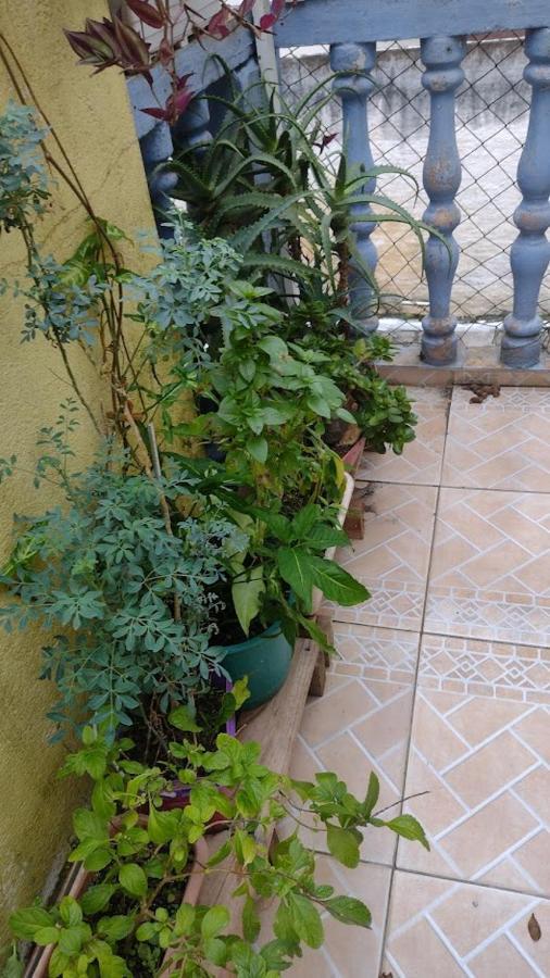 Hospedagem Domiciliar Alternativa Balneário Camboriú Exterior foto